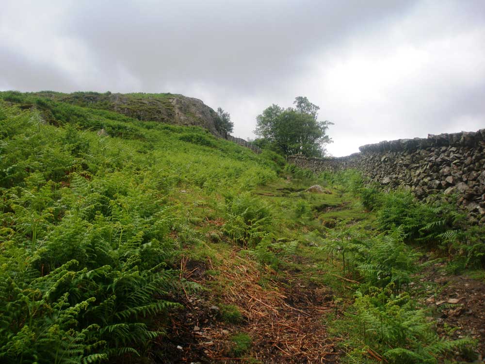 The path up Arnison Crag